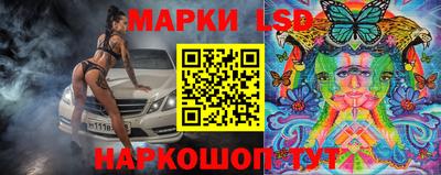прущие крисы Новозыбков