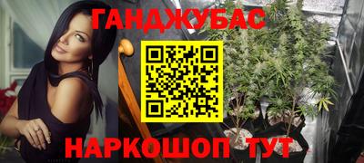 прущие крисы Новозыбков