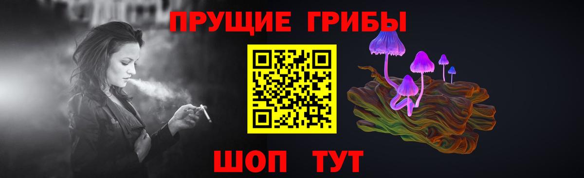 Галлюциногенные грибы GOLDEN TEACHER  Вход с VPN  Северобайкальск 